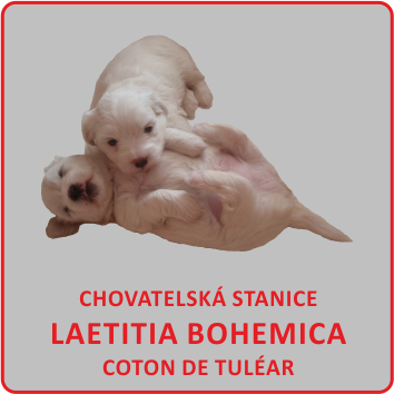 Chovatelská stanice Laetitia Bohemica