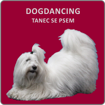 Dogdancing (tanec se psem)